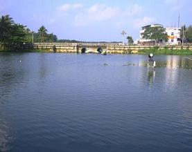 遂宁市市中区仁里镇中学校园风景